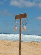 Cone Shell Earrings