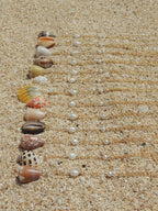 Cone Shell Necklace