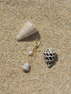 Cone Shell Keychain