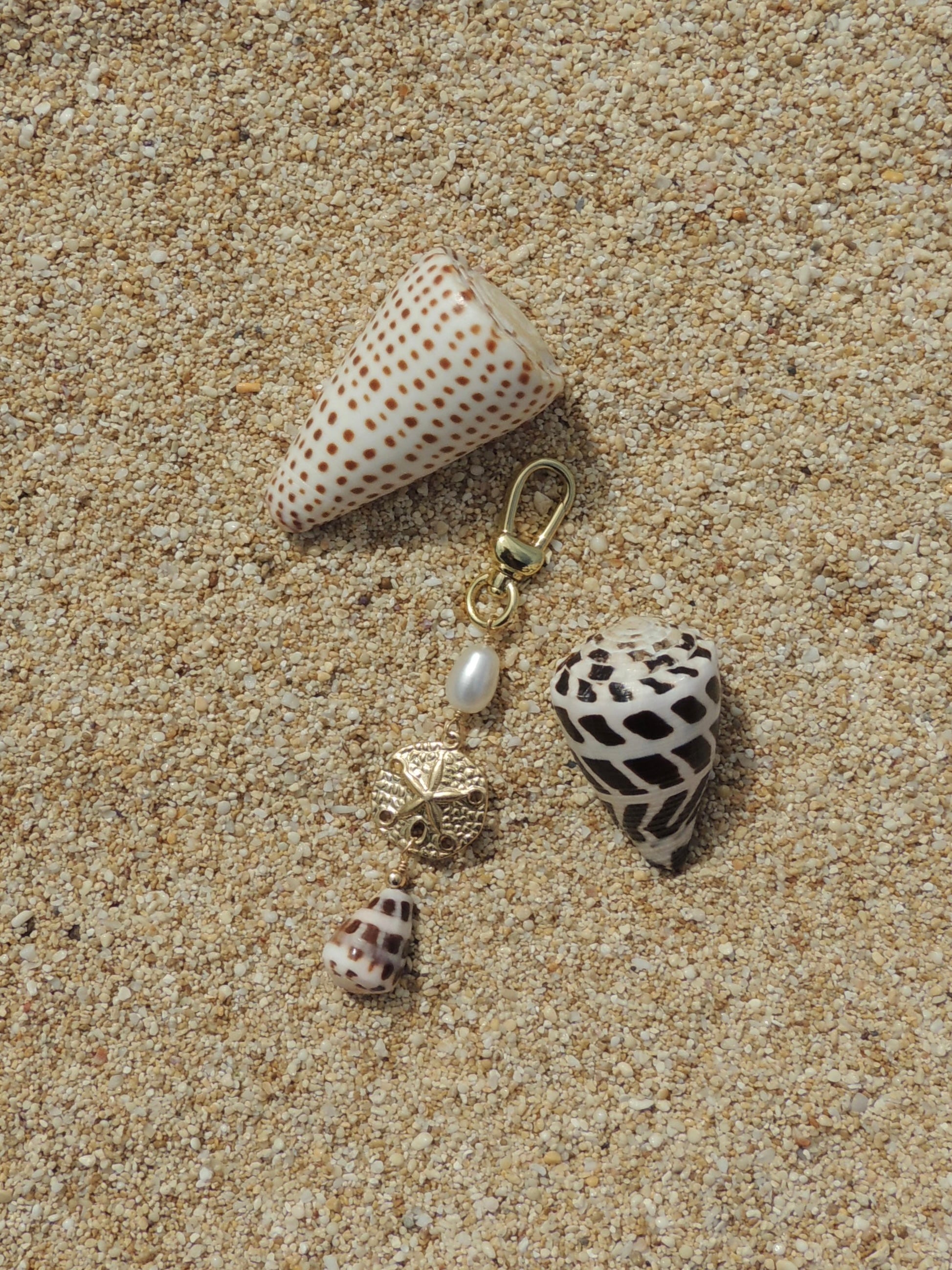 Hebrew Cone Shell Keychain
