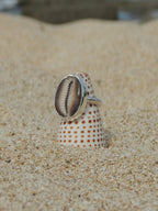 Cowrie Shell Ring (7.5)