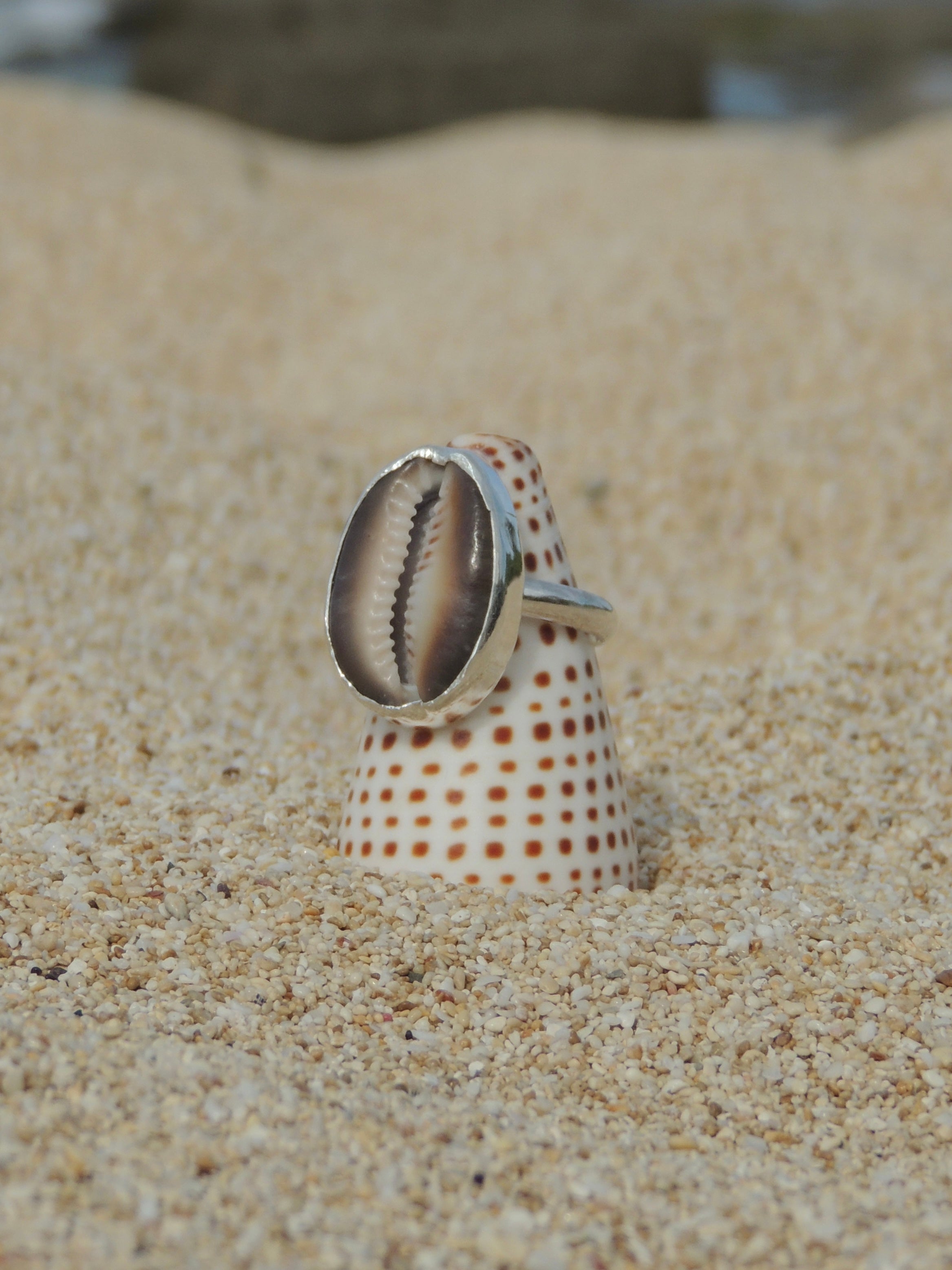 Cowrie Shell Ring (7.5)