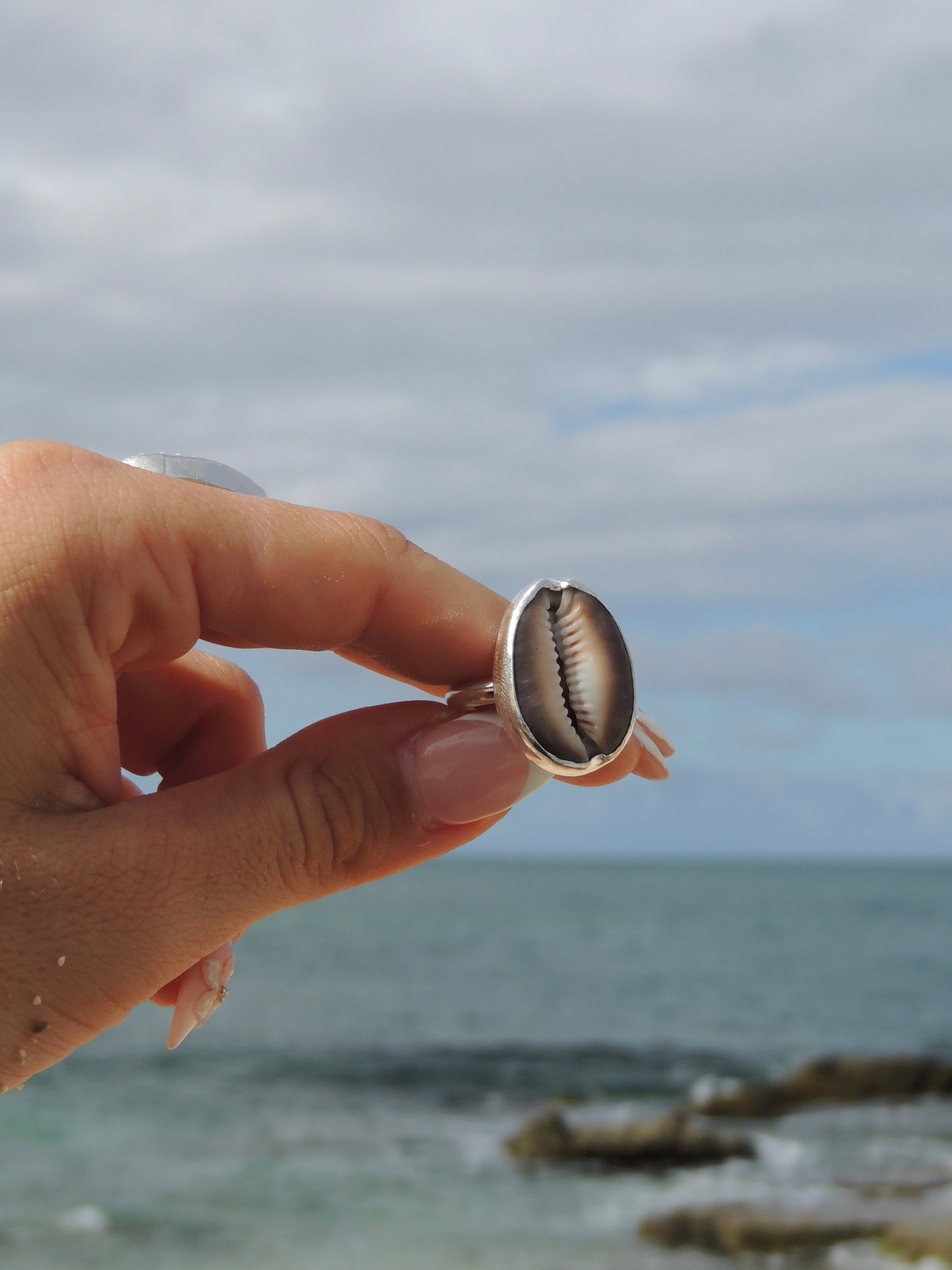 Cowrie Shell Ring (7.5)