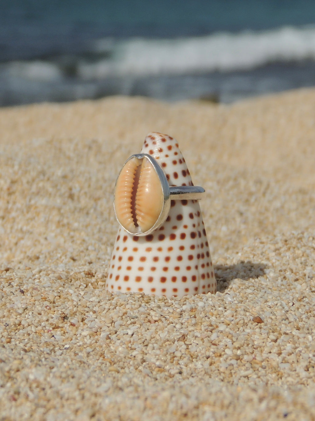 Honey Cowrie Shell Ring (7.5)