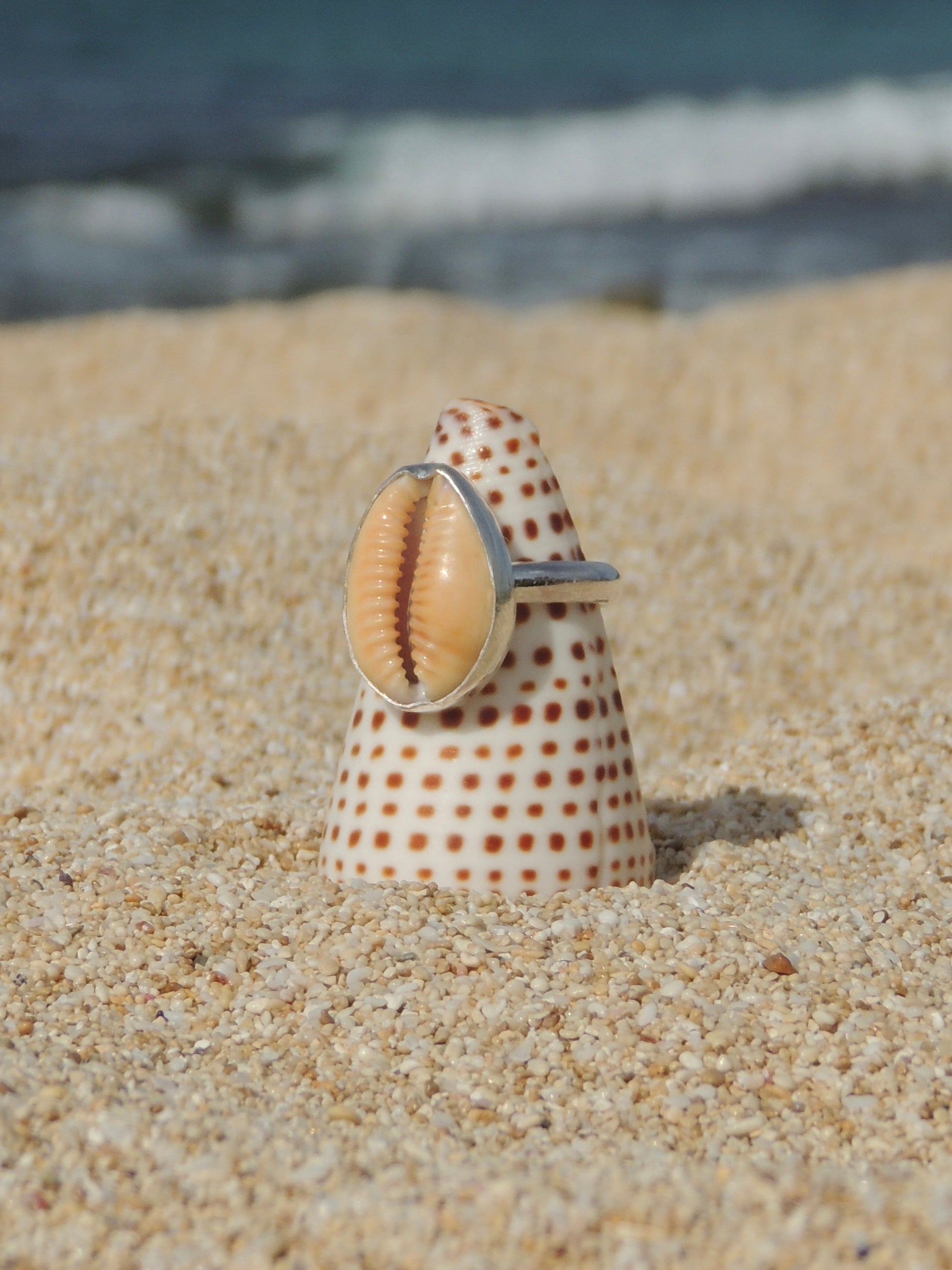 Honey Cowrie Shell Ring (7.5)