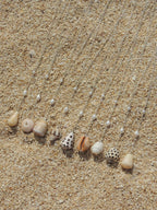 Penniform Cone Shell Necklace