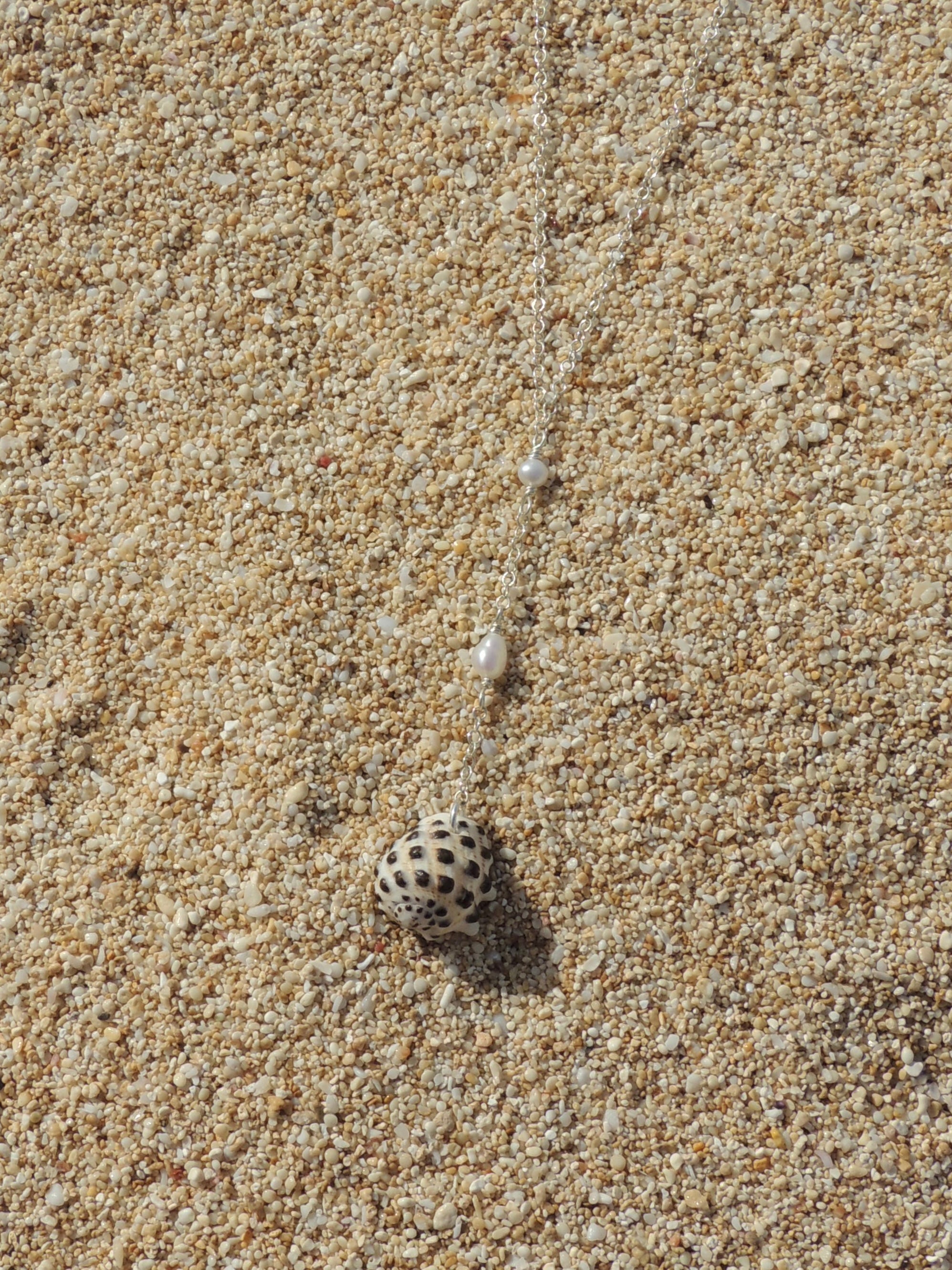 Drupe Shell Necklace