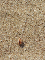 Honey Cowrie Shell Necklace