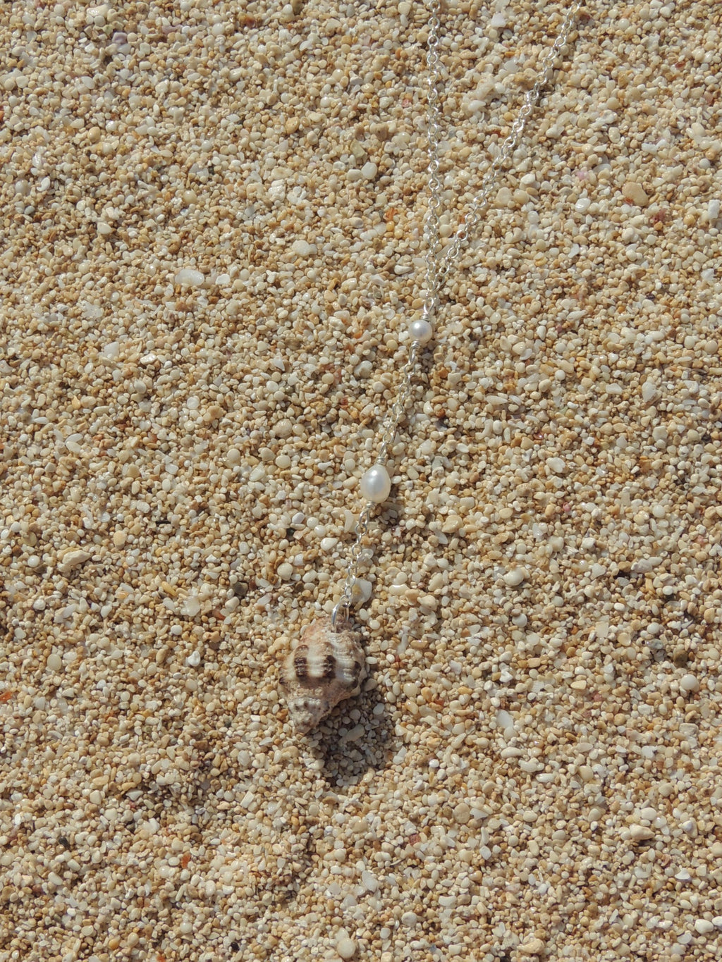 Triton Shell Necklace