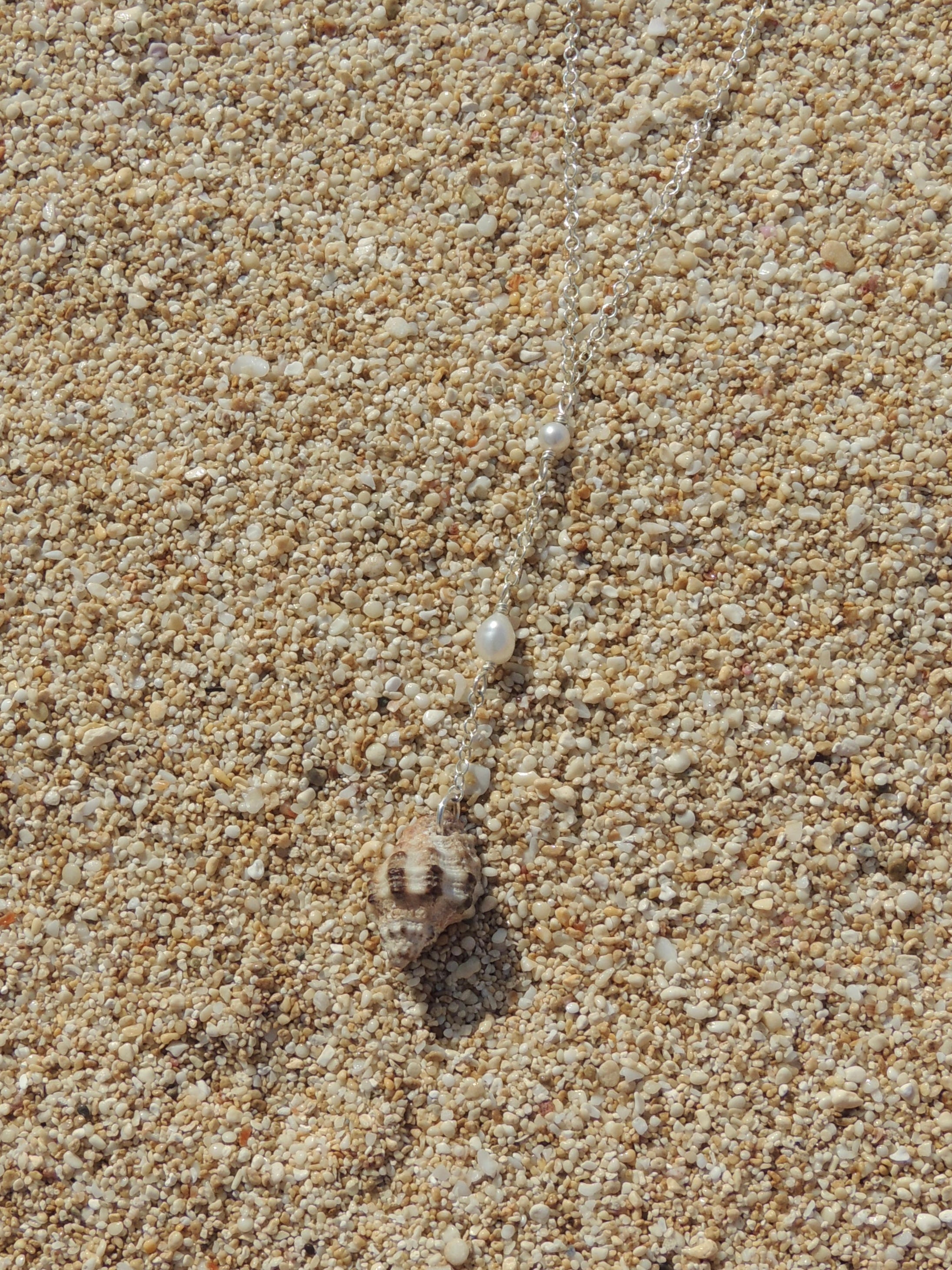 Triton Shell Necklace