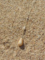Penniform Cone Shell Necklace