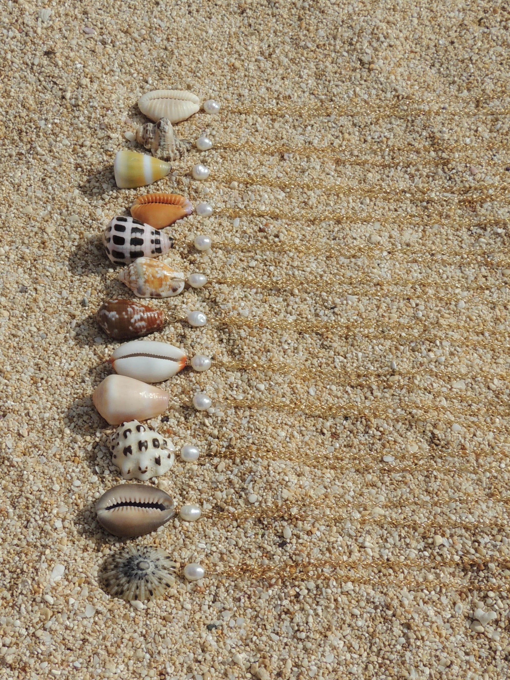Opihi Shell Necklace