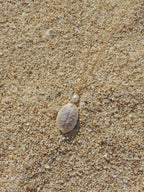 Granulated Cowrie Shell Necklace