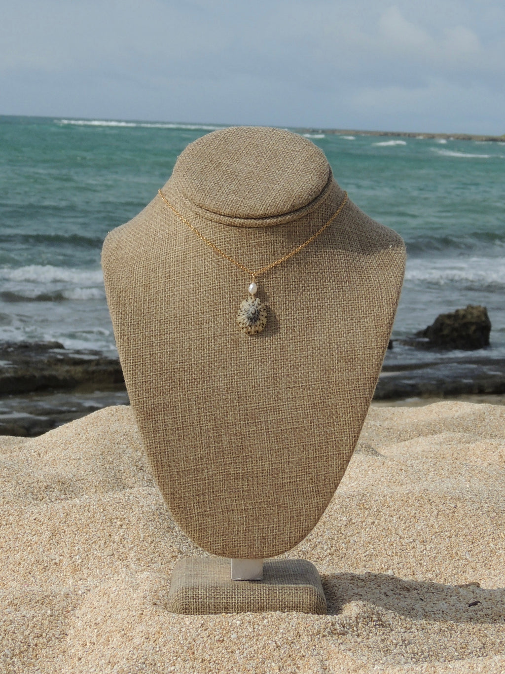 Opihi Shell Necklace