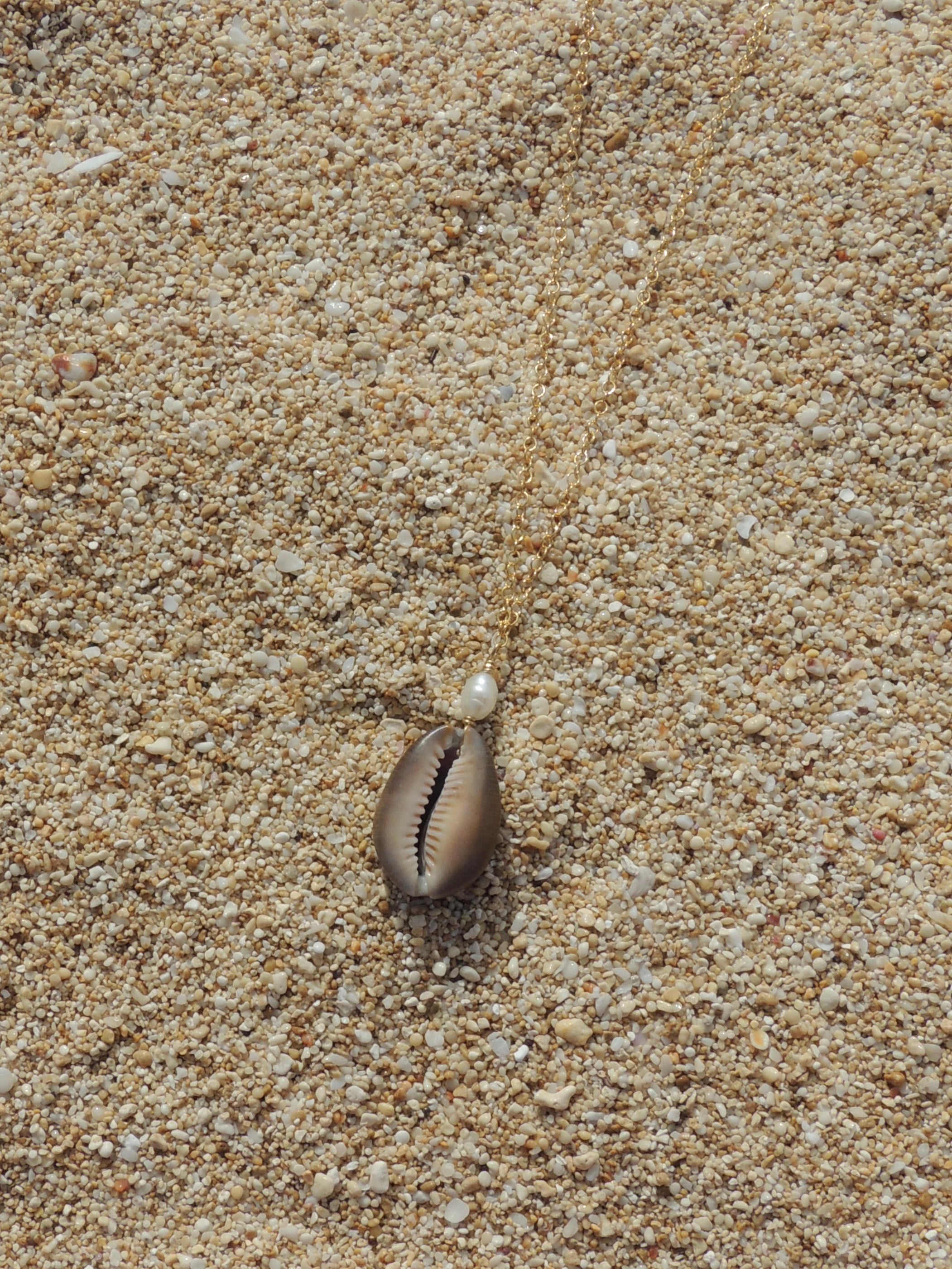 Cowrie Shell Necklace