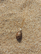 Cowrie Shell Necklace