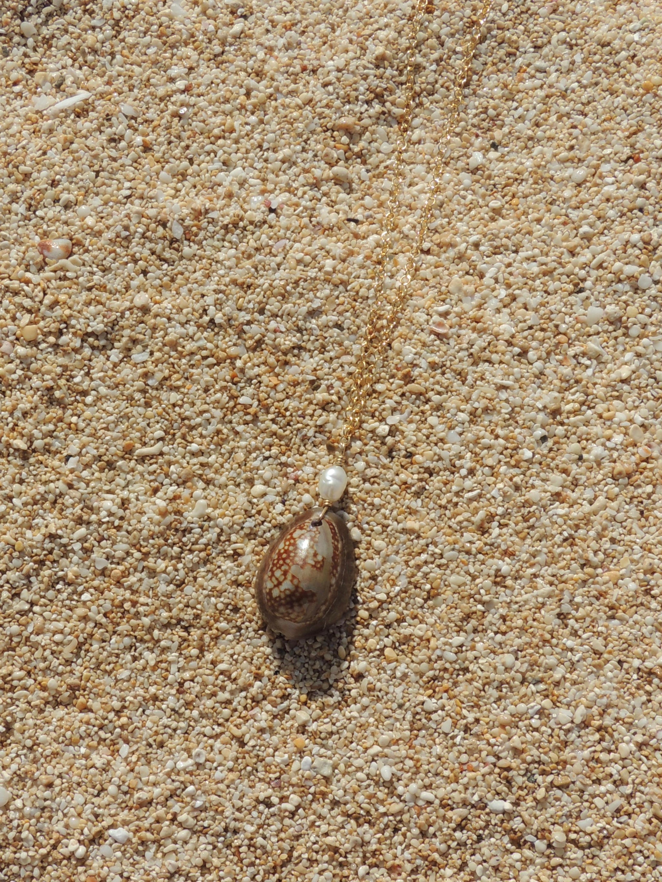 Cowrie Shell Necklace