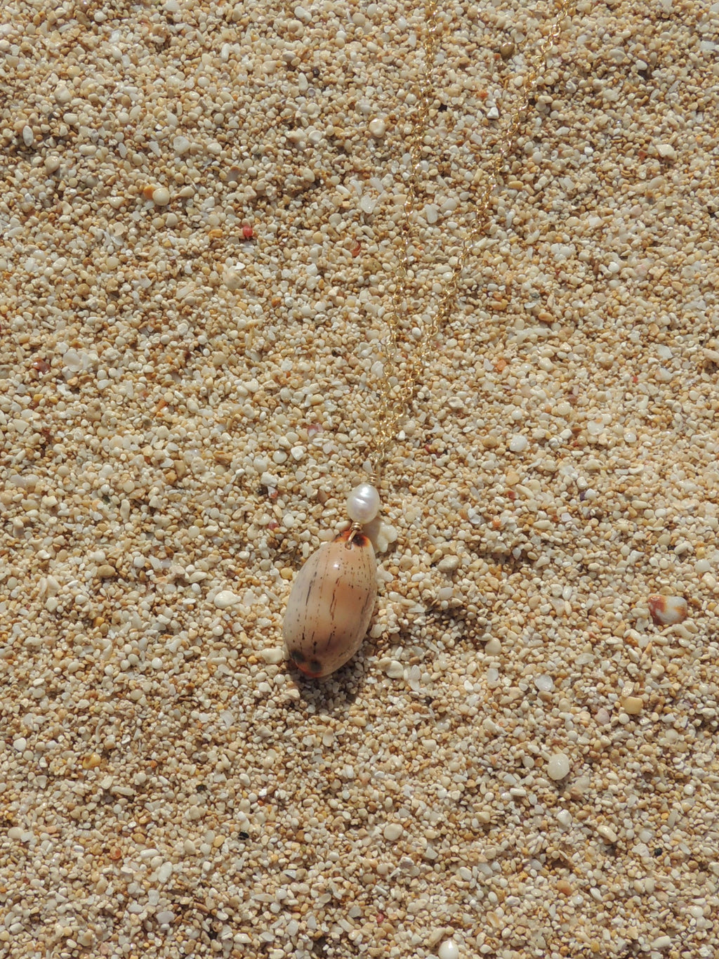 Isabella Cowrie Shell Necklace