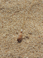 Isabella Cowrie Shell Necklace