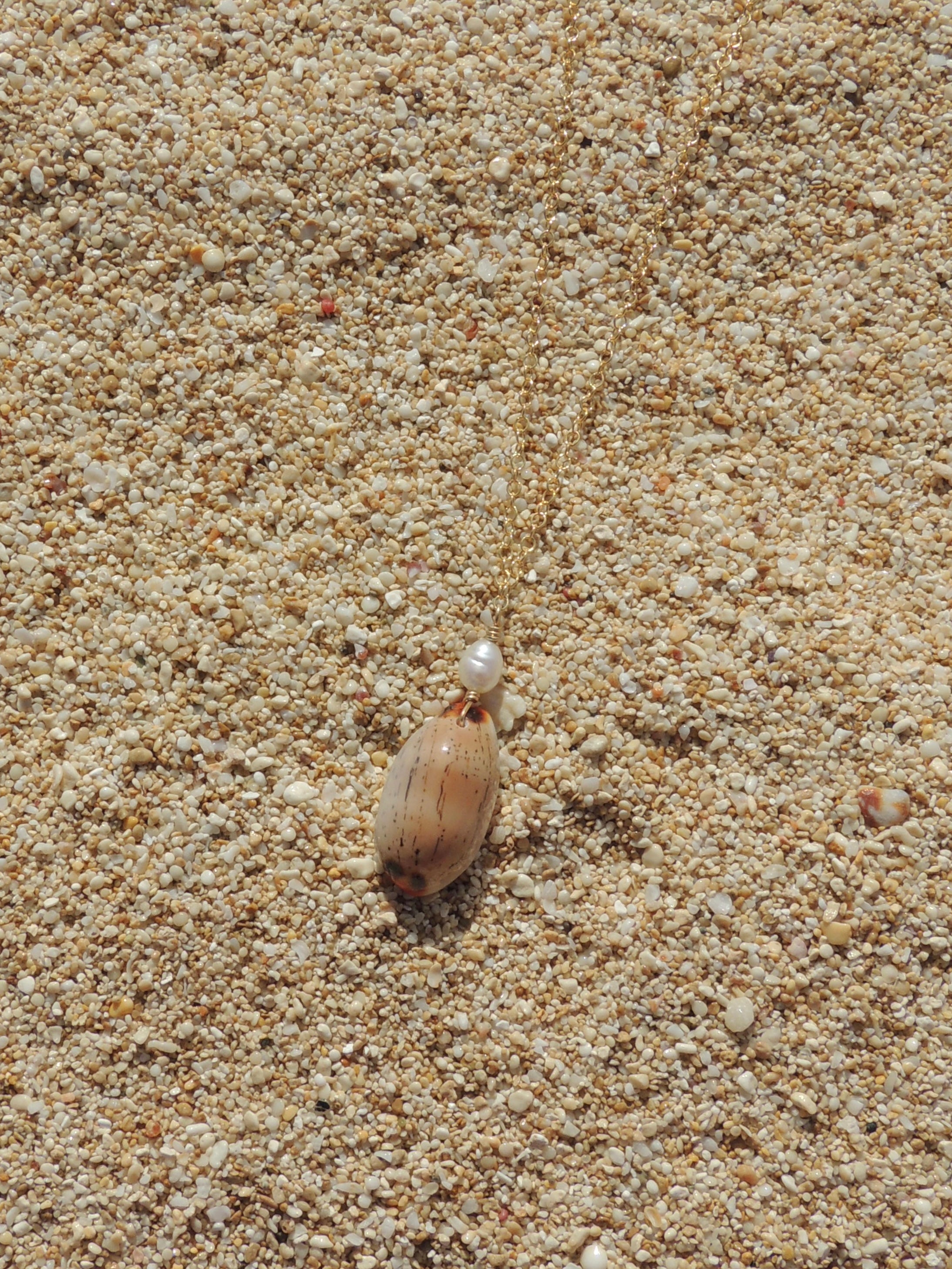 Isabella Cowrie Shell Necklace