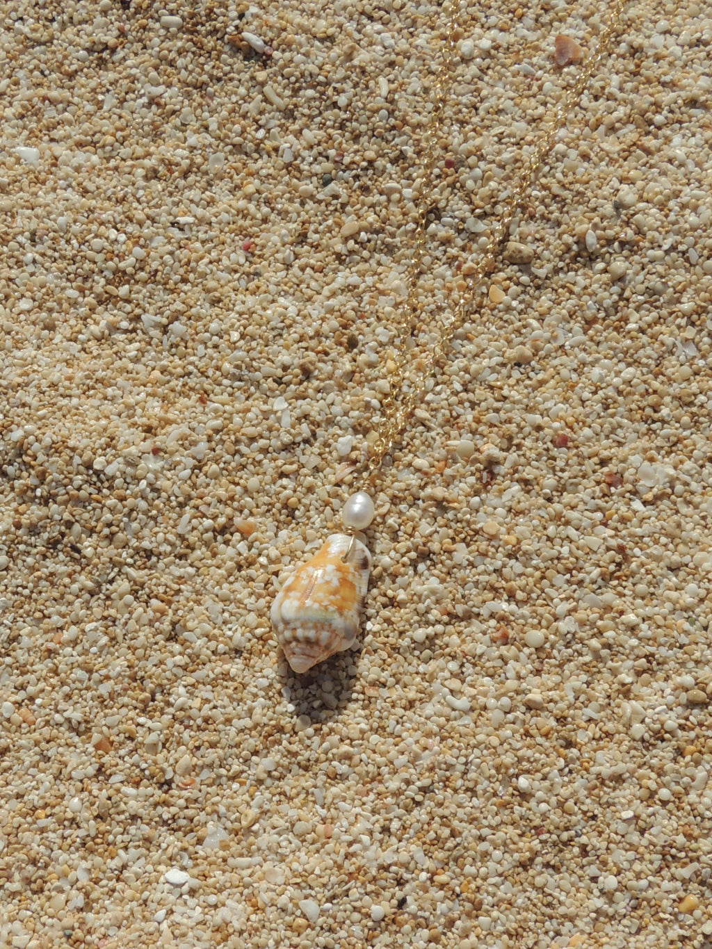 Stromb Shell Necklace
