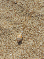 Stromb Shell Necklace