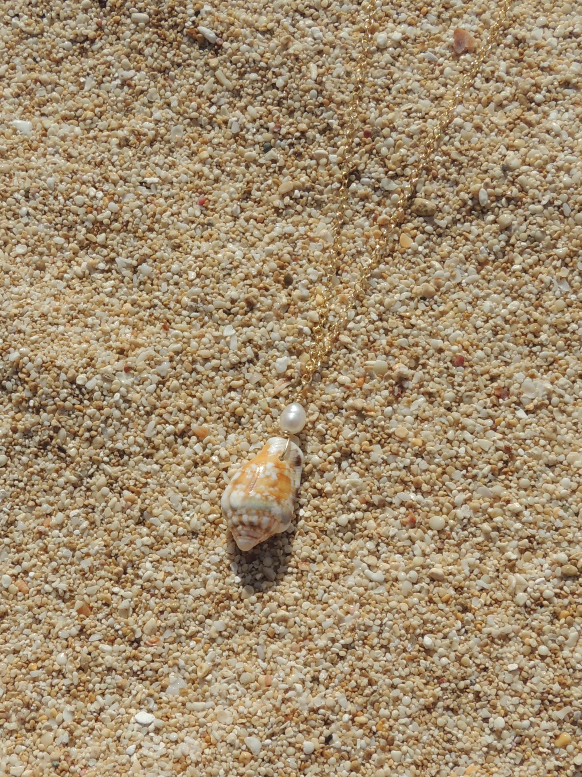 Stromb Shell Necklace
