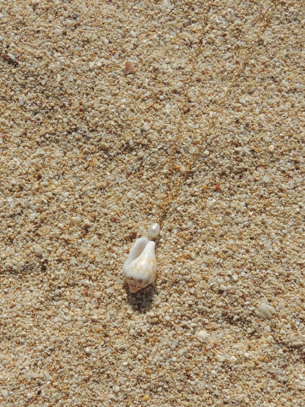 Stromb Shell Necklace