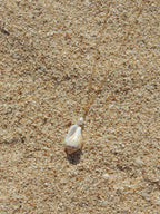 Stromb Shell Necklace