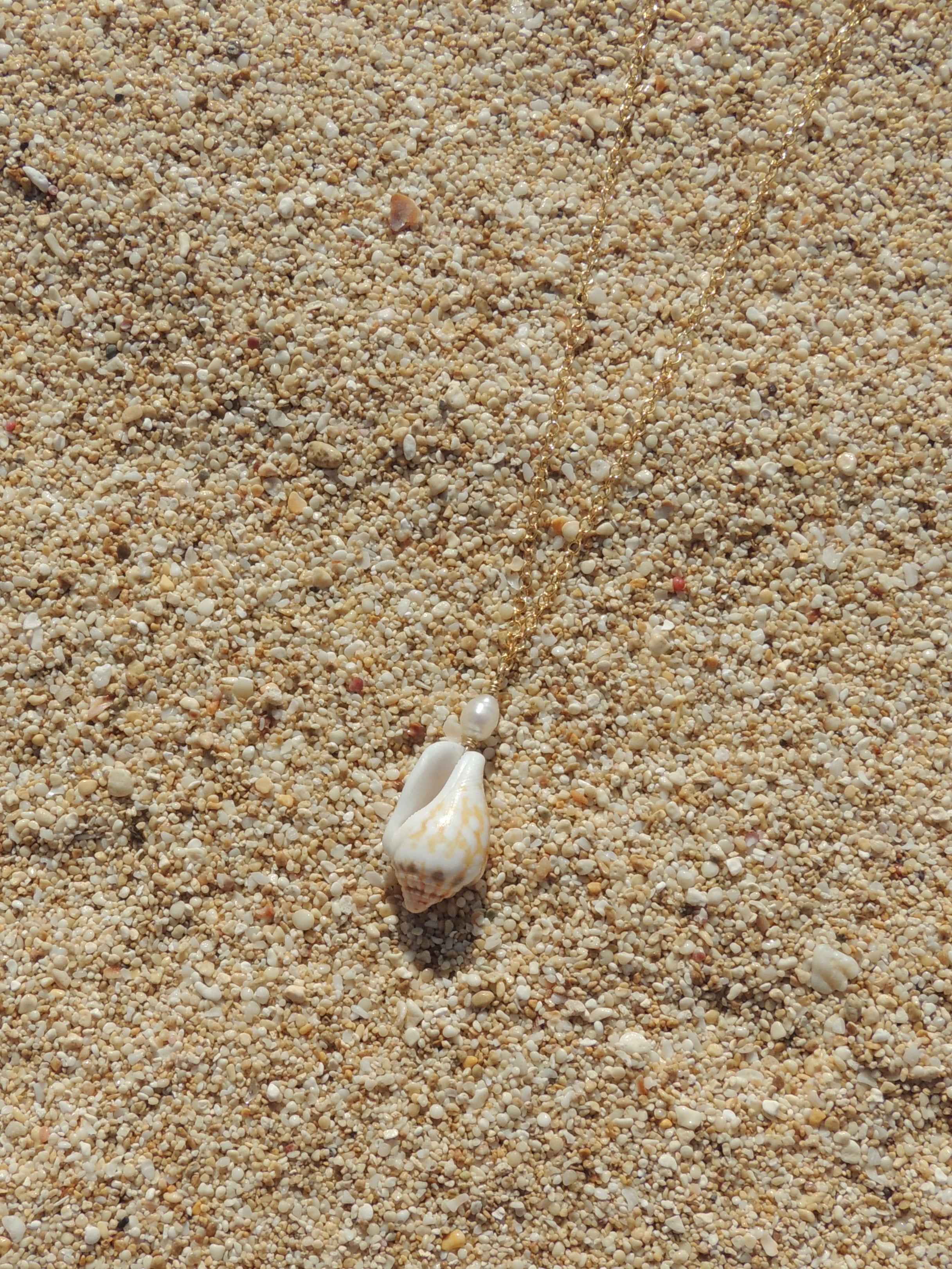 Stromb Shell Necklace