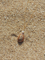 Honey Cowrie Shell Necklace