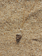Triton Shell Necklace