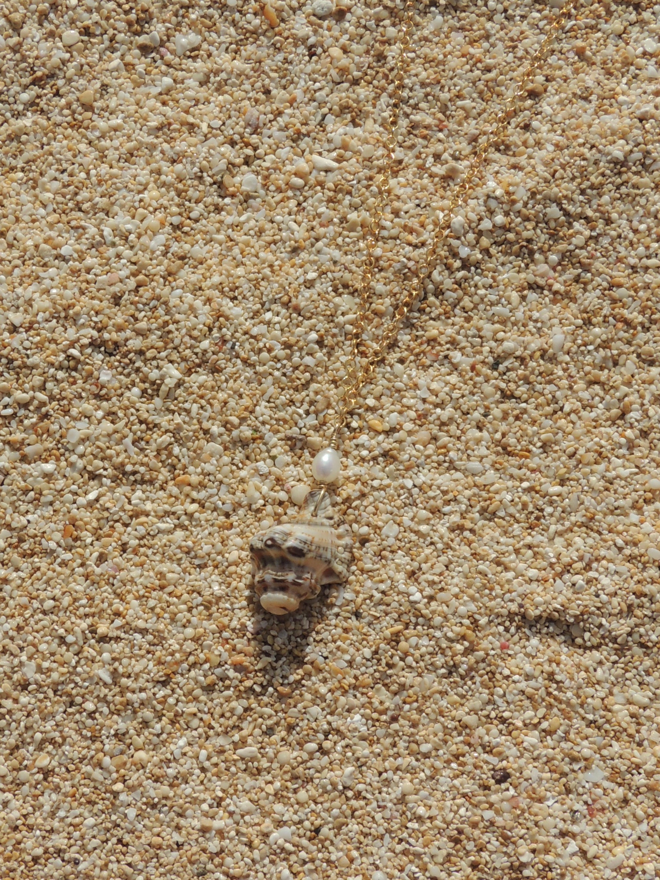 Triton Shell Necklace