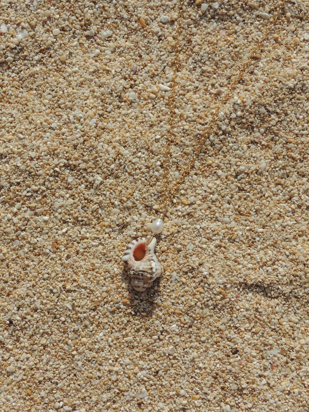 Triton Shell Necklace