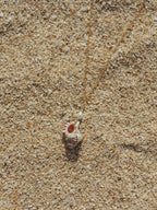 Triton Shell Necklace
