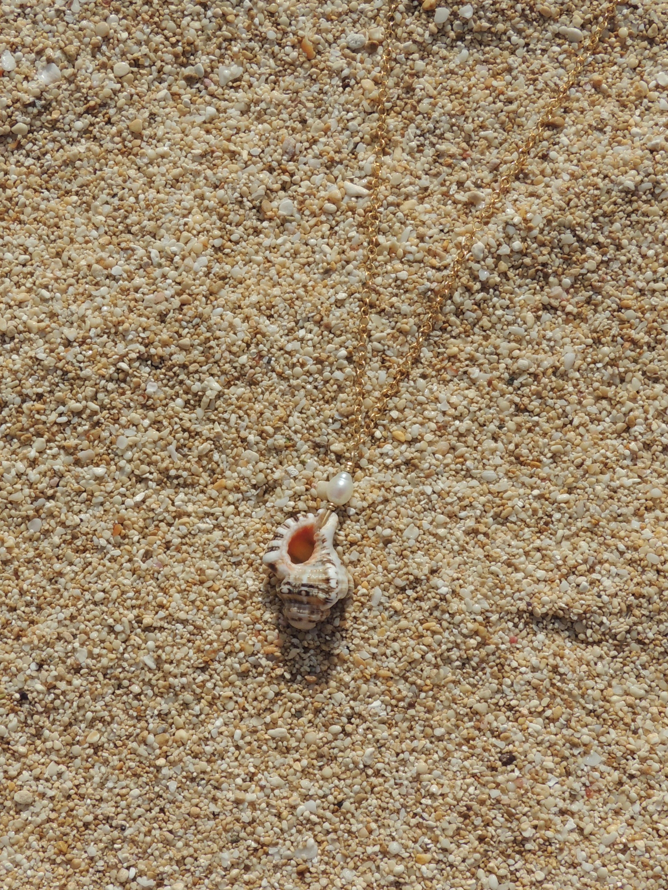 Triton Shell Necklace