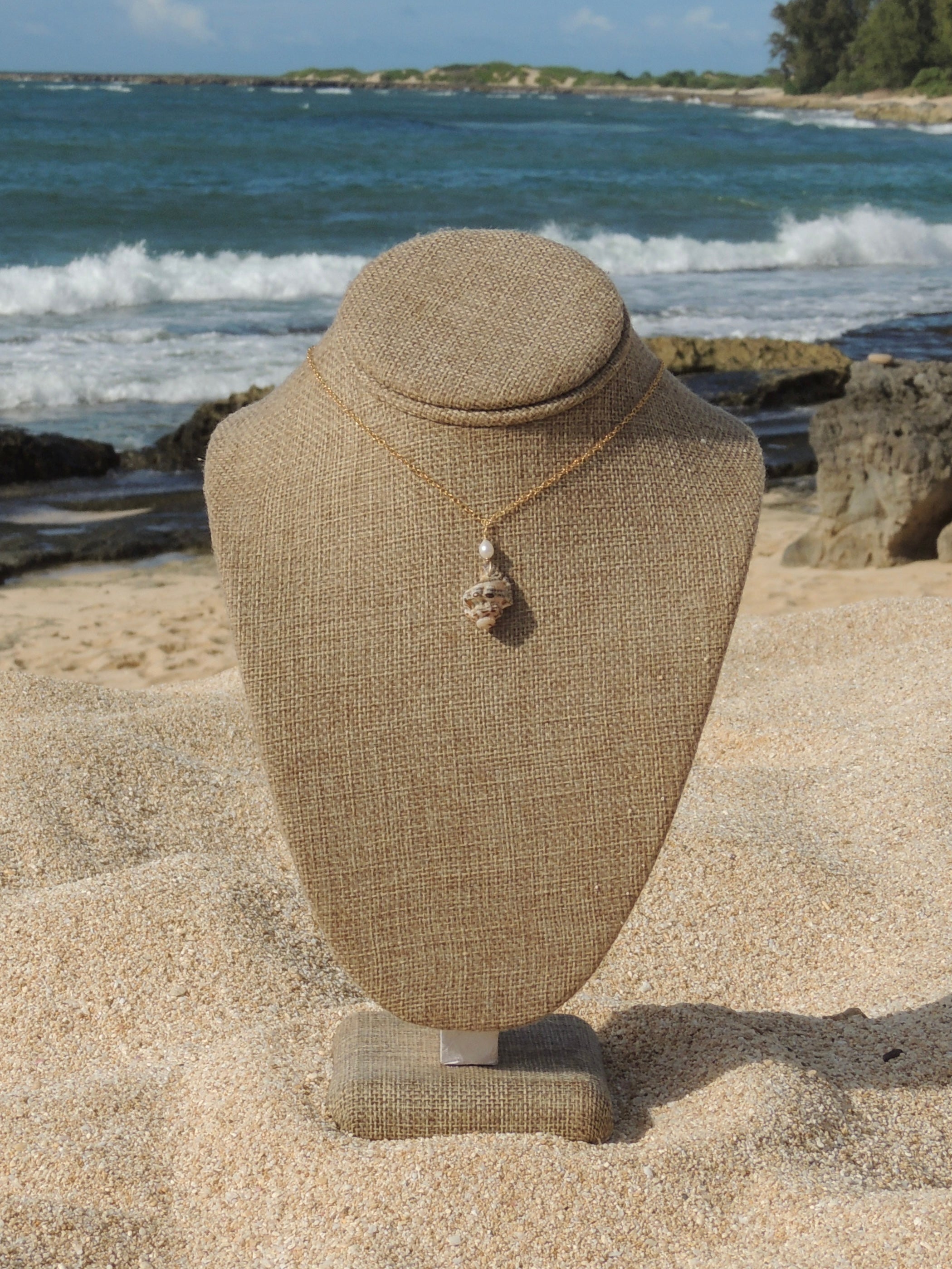 Triton Shell Necklace