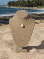 Abbreviated Cone Shell Necklace