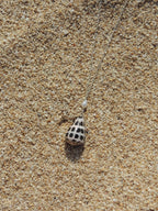 Hebrew Cone Shell Necklace