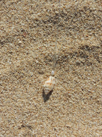 Stromb Shell Necklace