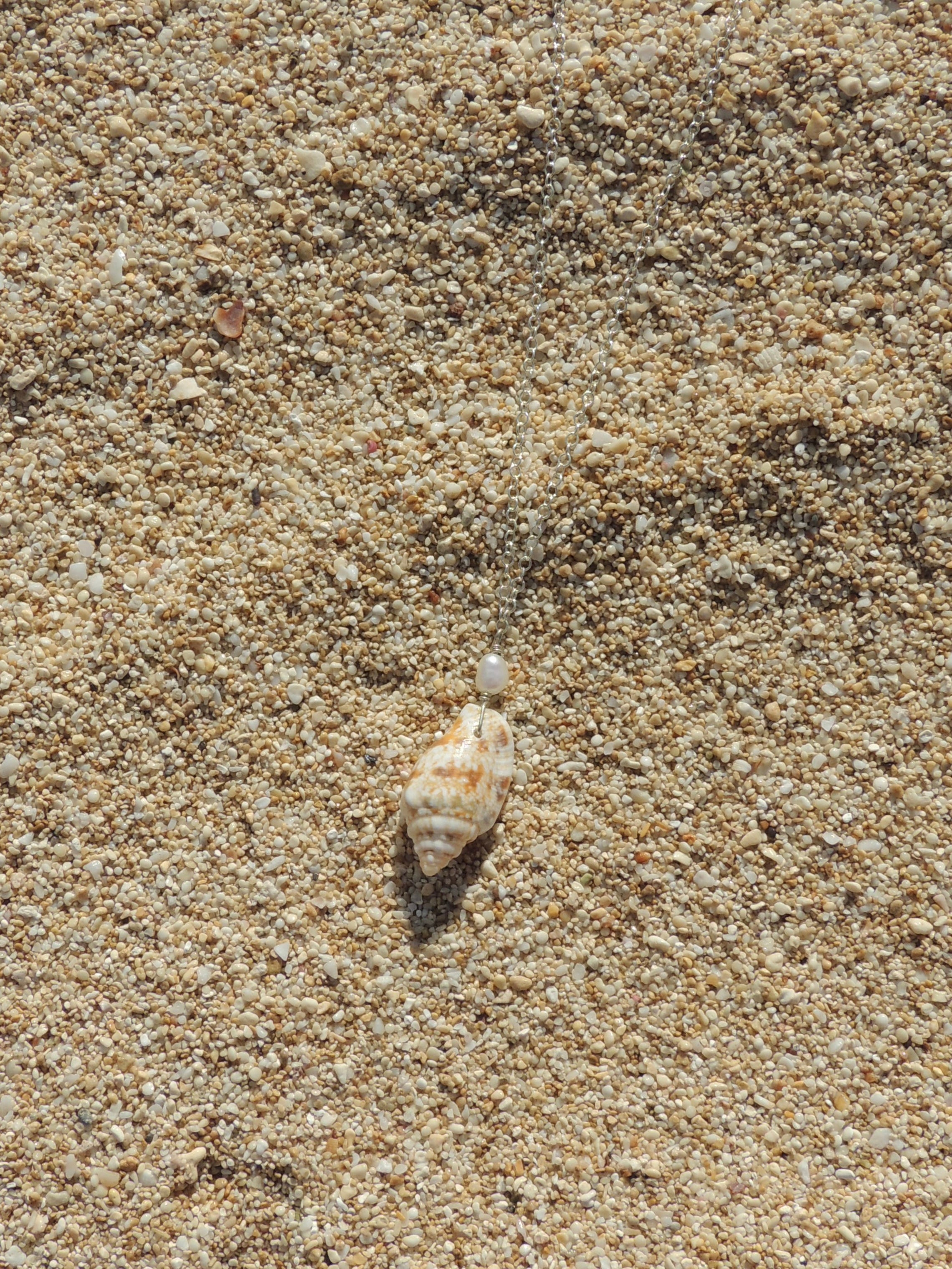 Stromb Shell Necklace