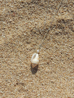 Stromb Shell Necklace