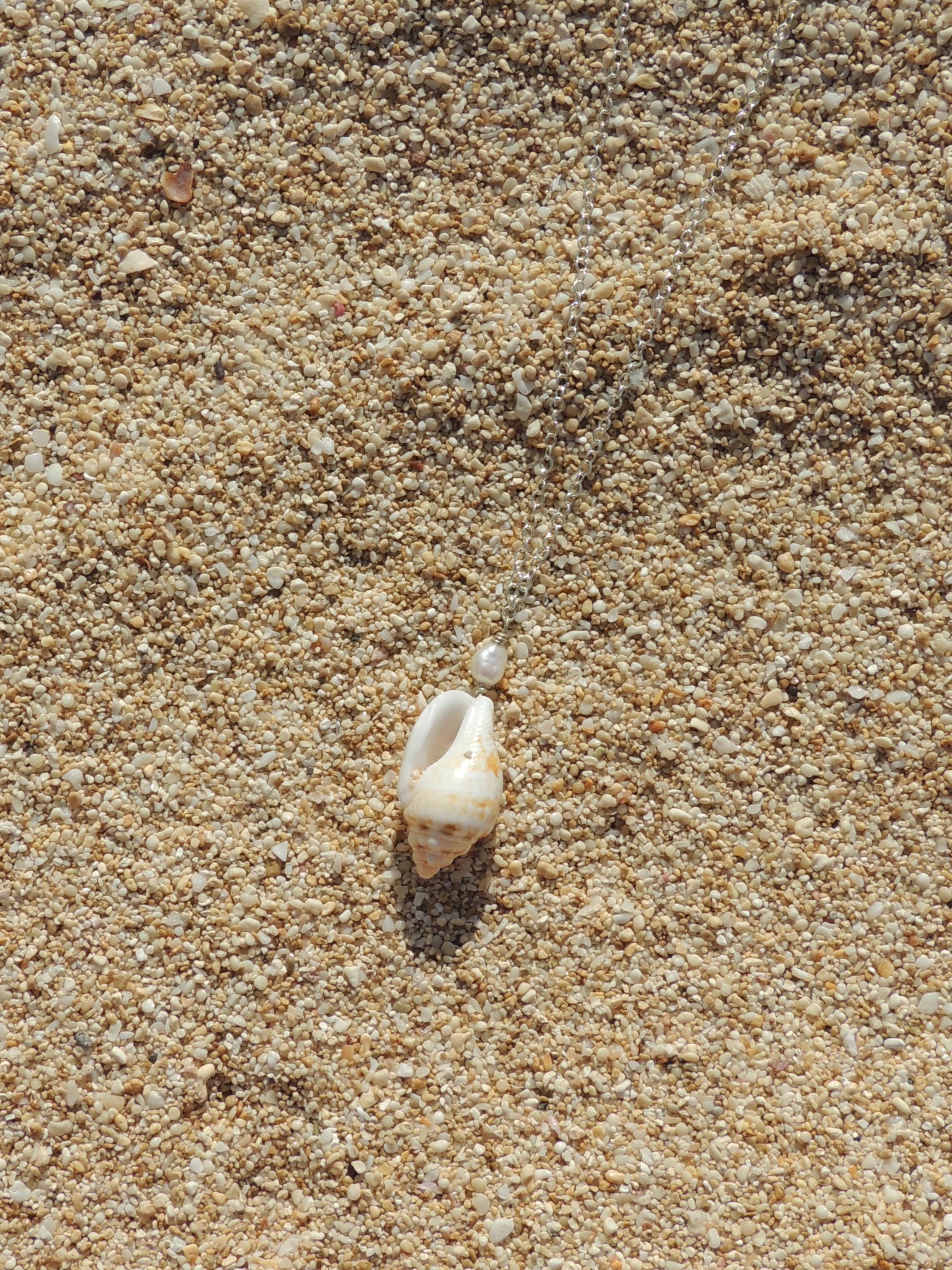 Stromb Shell Necklace