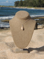 Stromb Shell Necklace