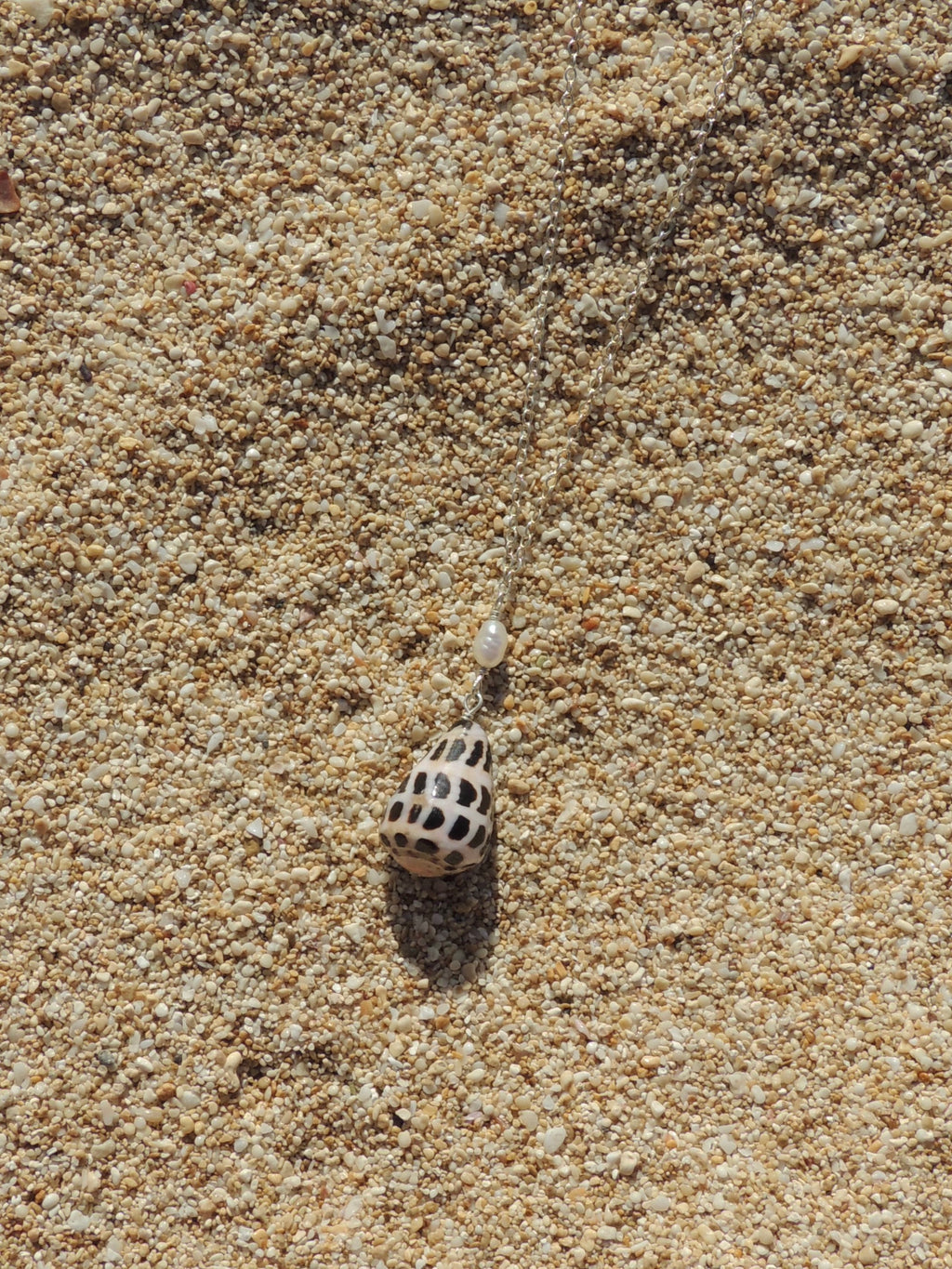 Hebrew Cone Shell Necklace