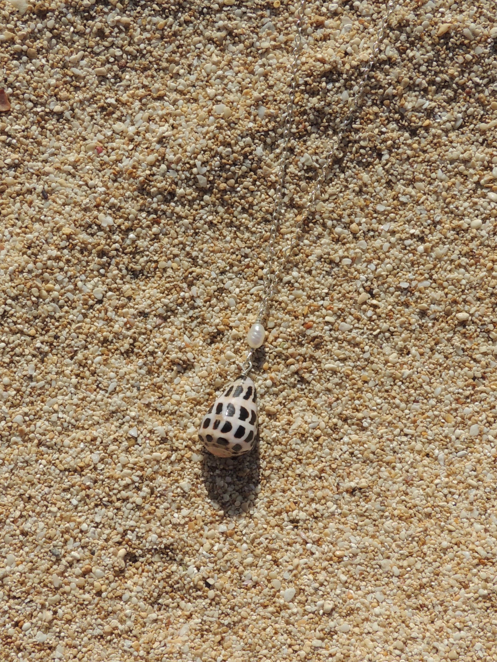 Hebrew Cone Shell Necklace