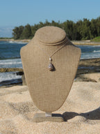 Hebrew Cone Shell Necklace