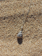 Hebrew Cone Shell Necklace