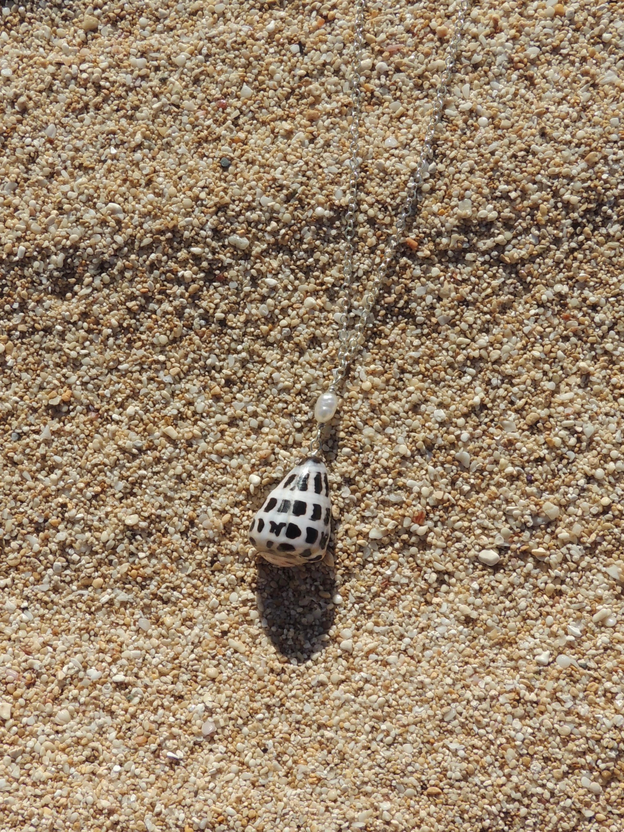 Hebrew Cone Shell Necklace