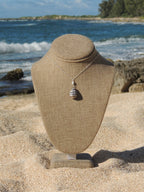 Hebrew Cone Shell Necklace